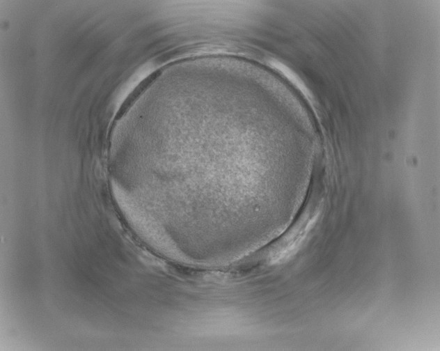 X0000070371097200606301850