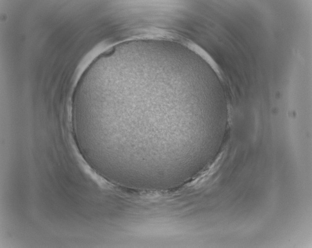 X0000070371099200606301850