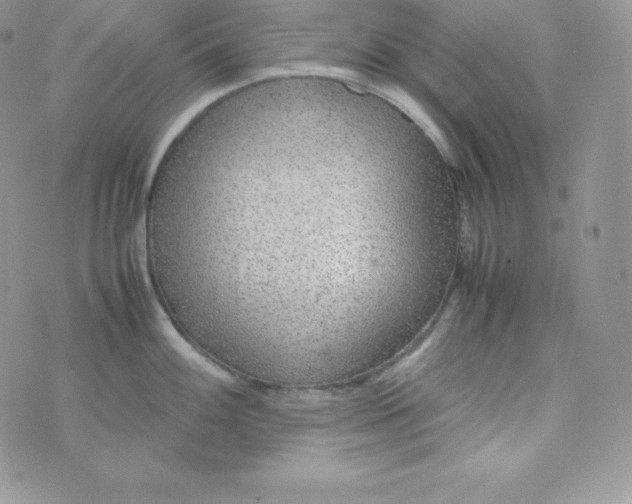 X0000070371100200606301850