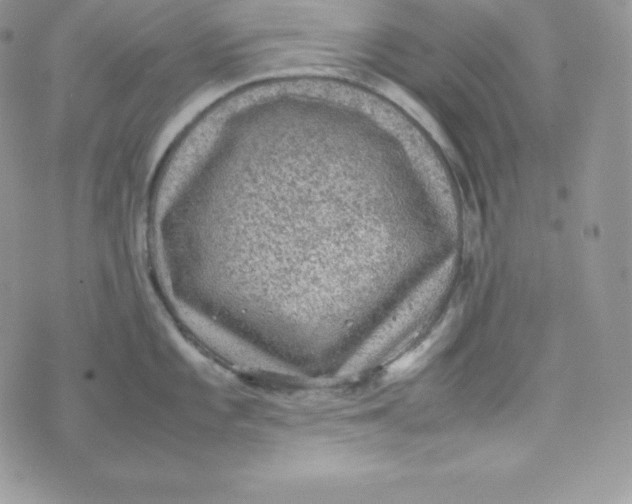 X0000070371101200606301850