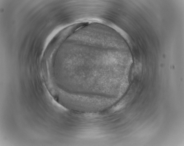 X0000070371102200606301850