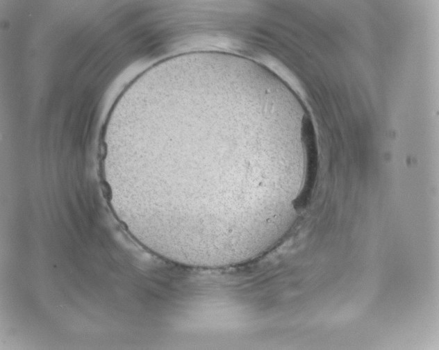 X0000070371104200606301850