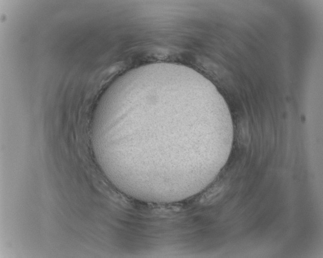 X0000070371105200606301849