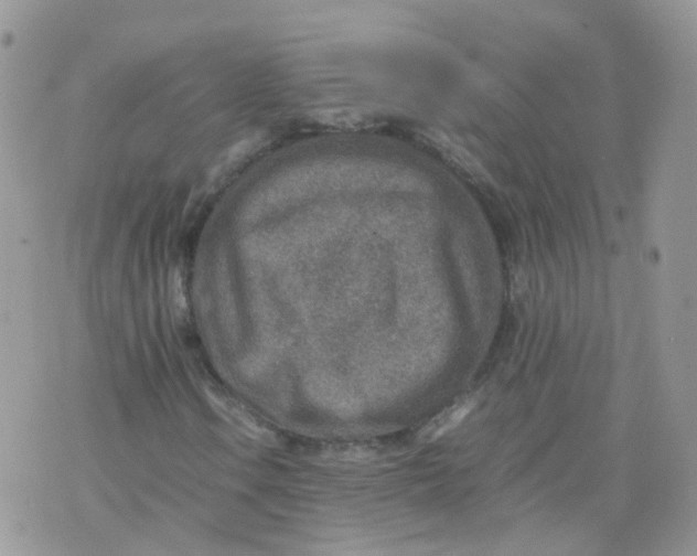 X0000070371106200606301849