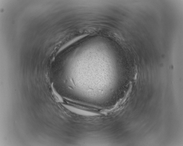 X0000070371109200606301849