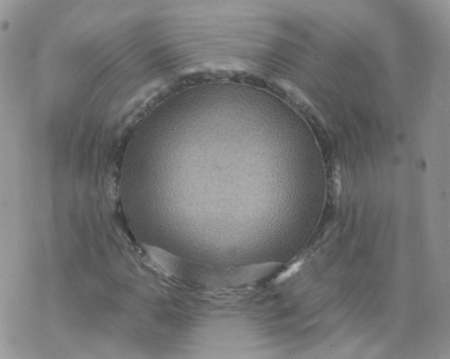 X0000070371110200606301849