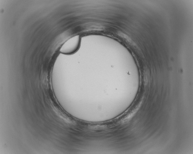 X0000070371113200606301849