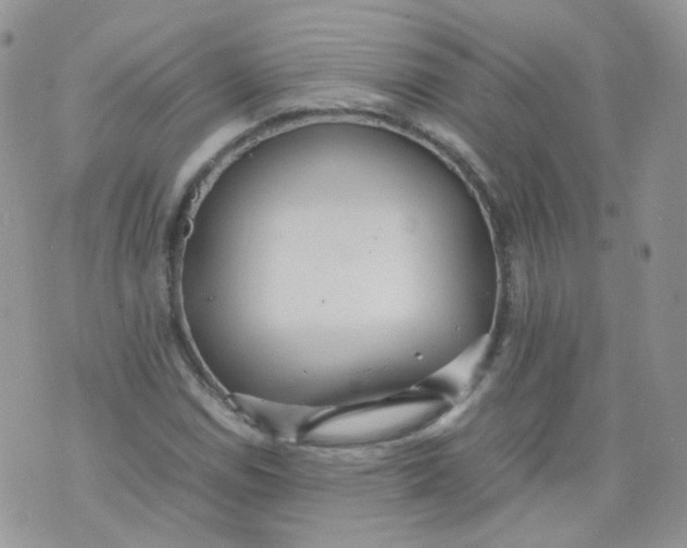 X0000070371114200606301849