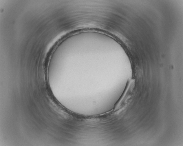 X0000070371118200606301849