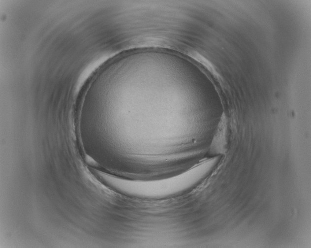 X0000070371120200606301849