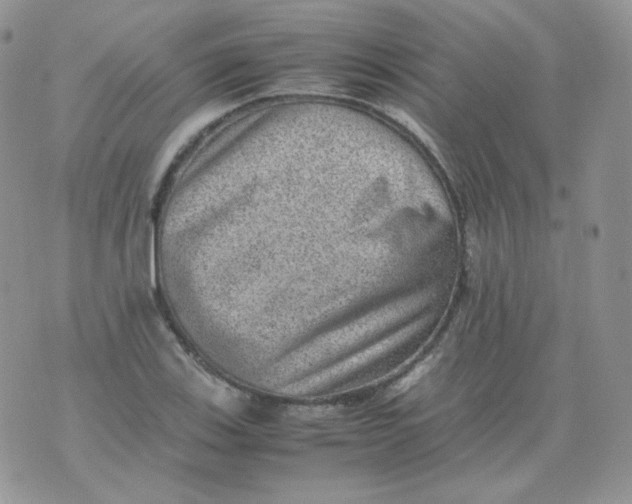 X0000070371123200606301849