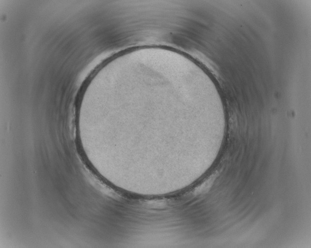 X0000070371126200606301849