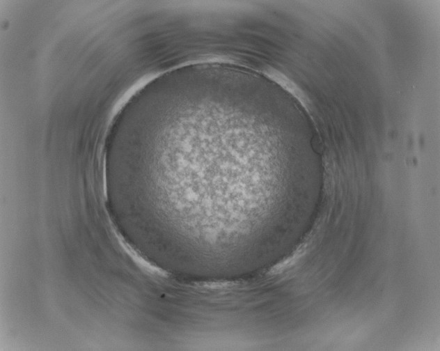 X0000070371127200606301849