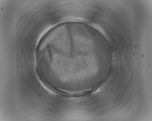 X0000070371128200606301849