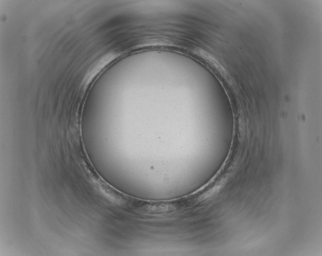 X0000070371129200606301850