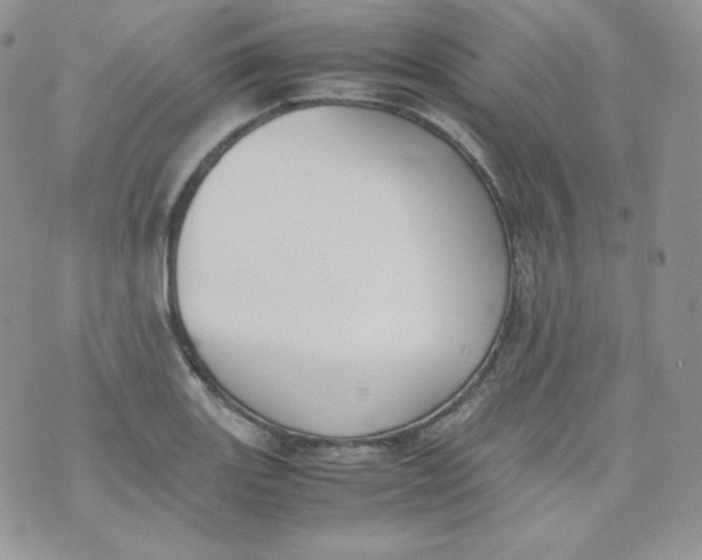 X0000070371131200606301850