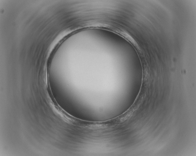 X0000070371132200606301850