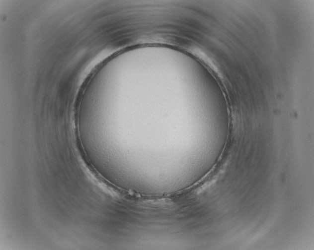 X0000070371133200606301850