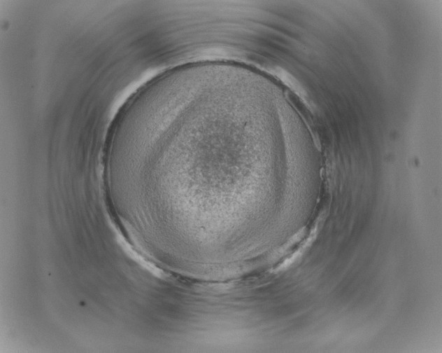 X0000070371134200606301850