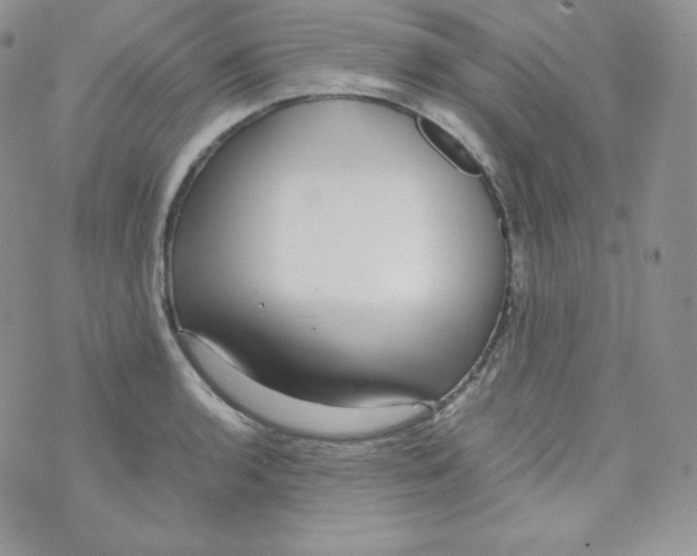 X0000070371136200606301850