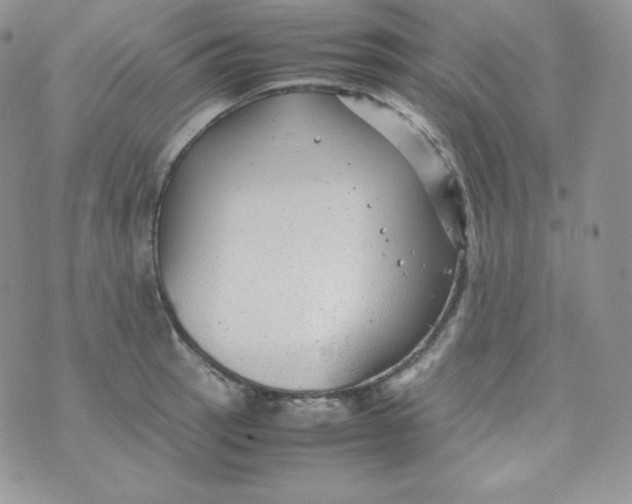 X0000070371137200606301850