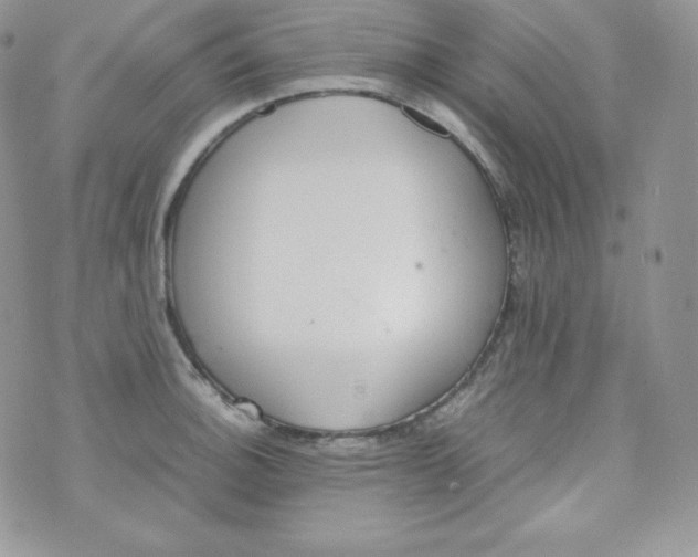 X0000070371140200606301850