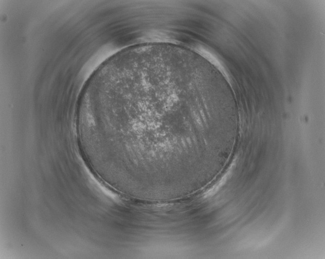 X0000070371141200606301850