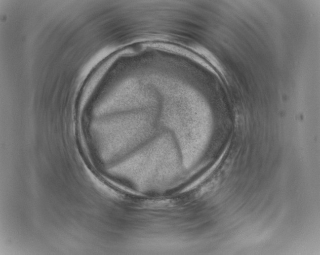 X0000070371143200606301850