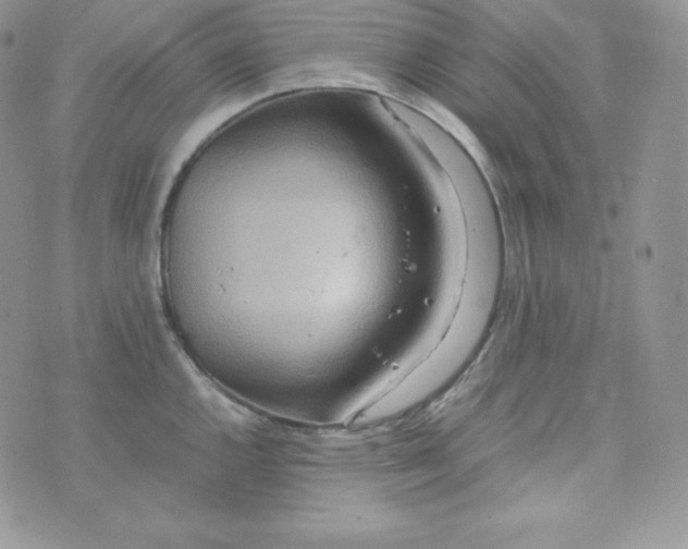 X0000070371144200606301850