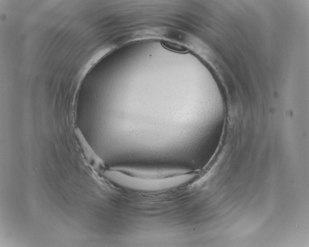 X0000070371145200606301850