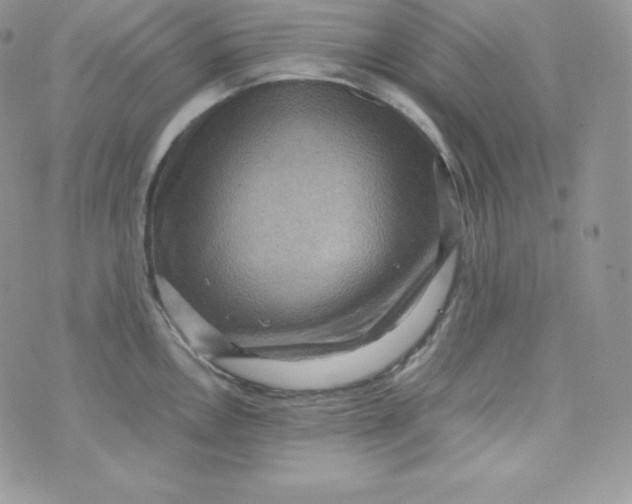 X0000070371146200606301850