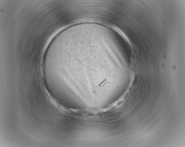 X0000070371148200606301850