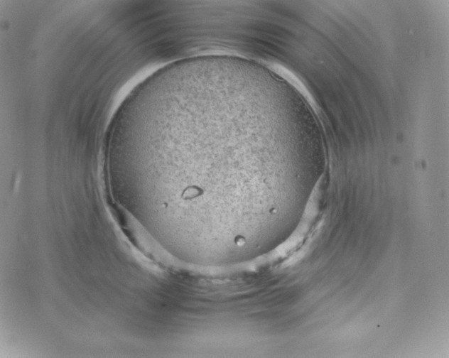 X0000070371149200606301850