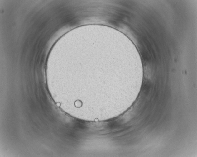 X0000070371150200606301850