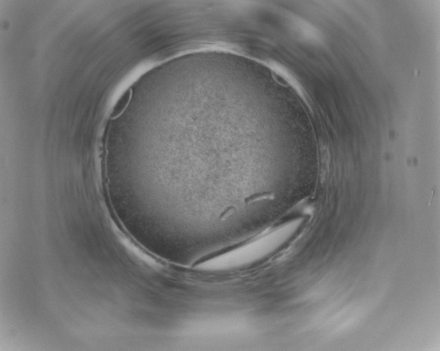 X0000070371151200606301850