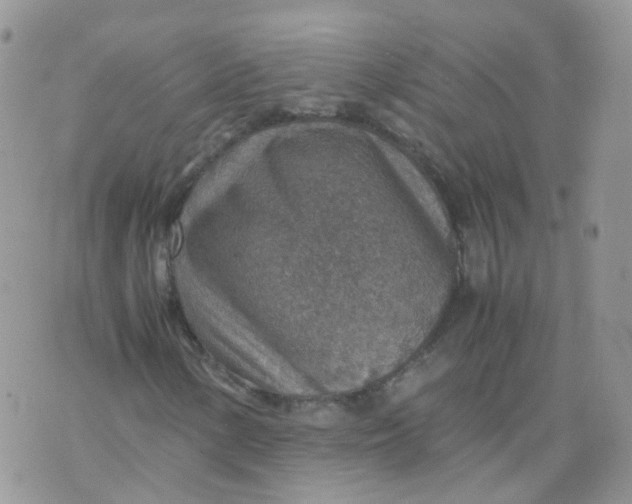 X0000070371154200606301849