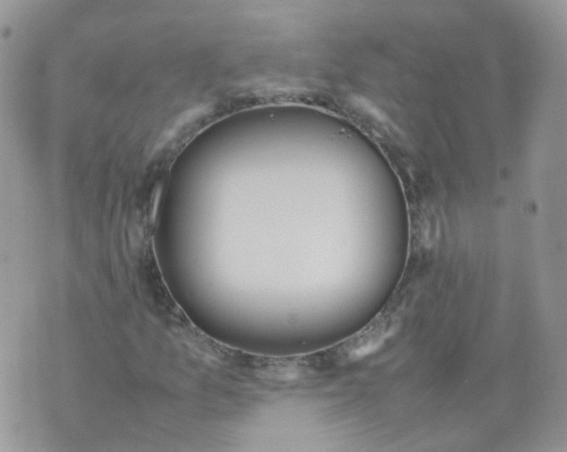 X0000070371157200606301849