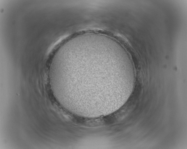 X0000070371159200606301849