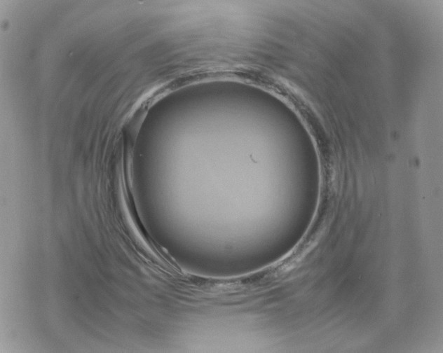 X0000070371161200606301849