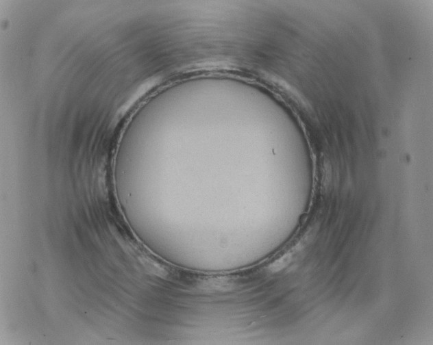 X0000070371162200606301849