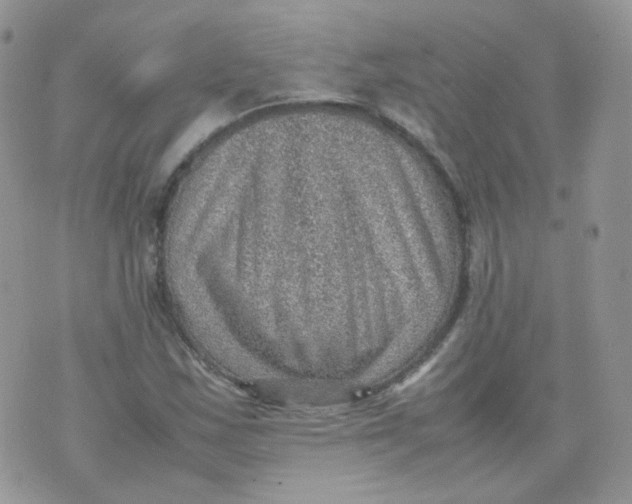 X0000070371163200606301849