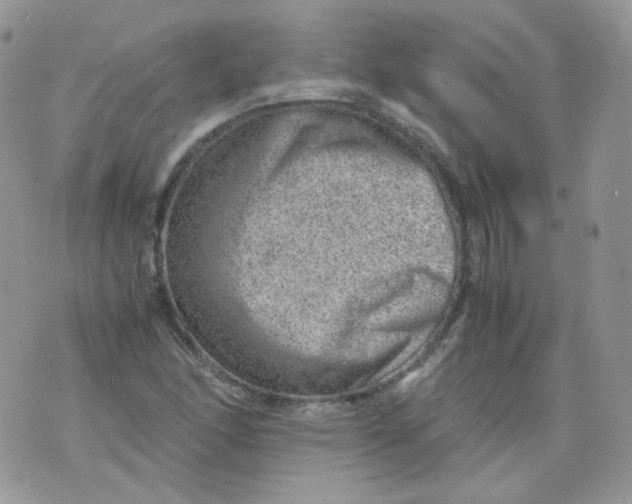 X0000070371166200606301849