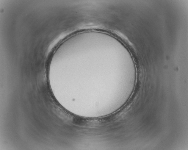 X0000070371167200606301849