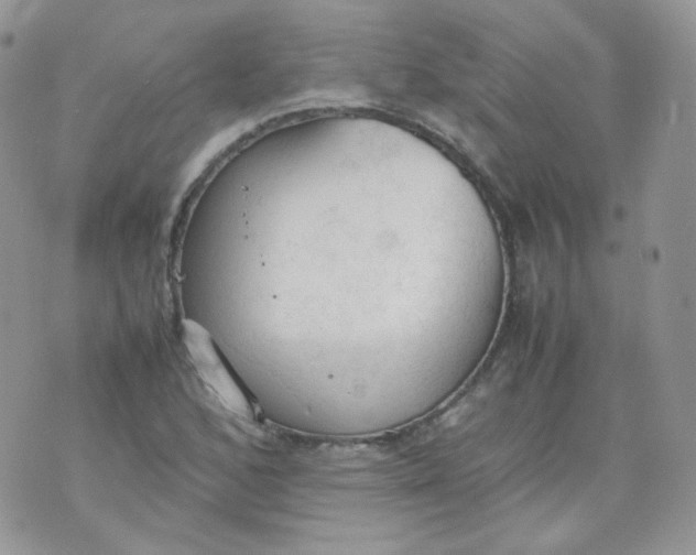 X0000070371168200606301849