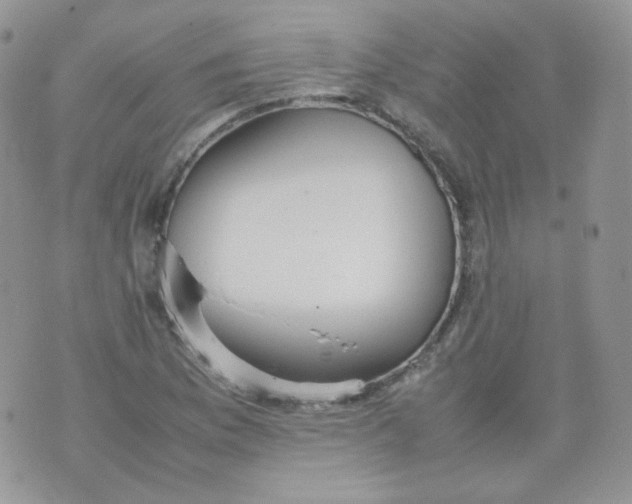 X0000070371169200606301849