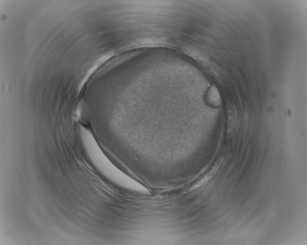 X0000070371170200606301849