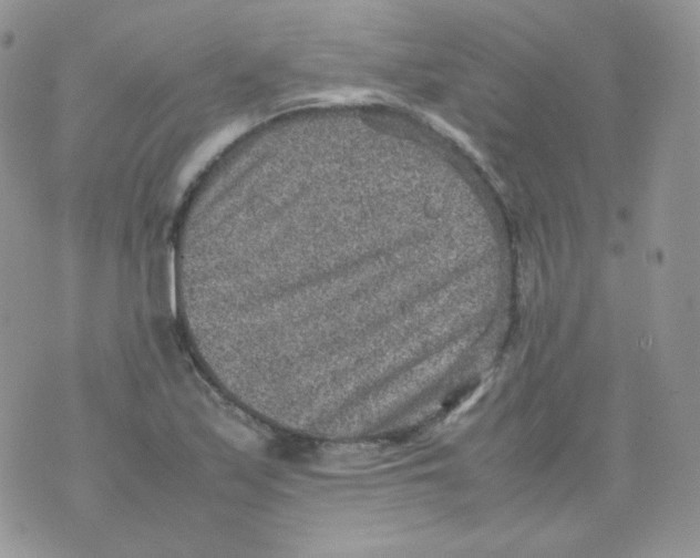 X0000070371171200606301849