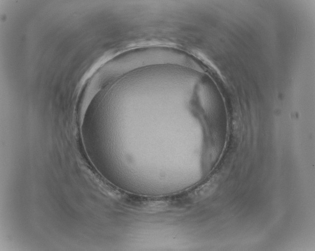 X0000070371173200606301849