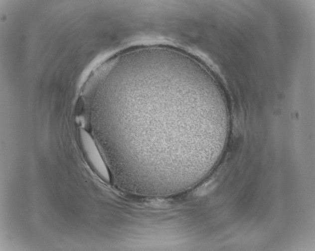 X0000070371175200606301849