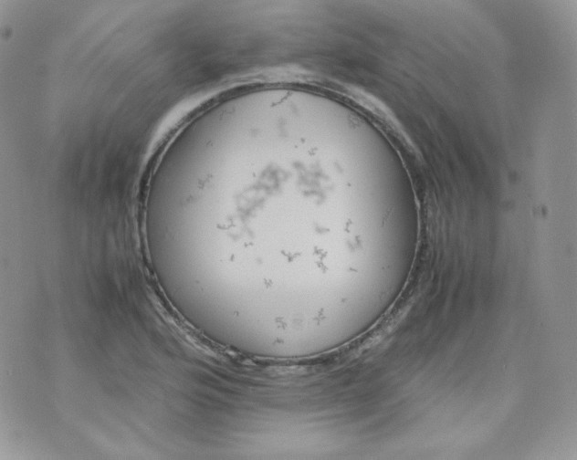 X0000070371176200606301849